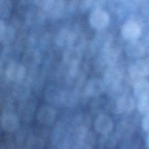 Meet your Posher, Hunter